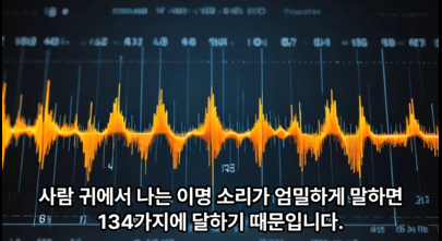 0018-3이명소리134가지다.png